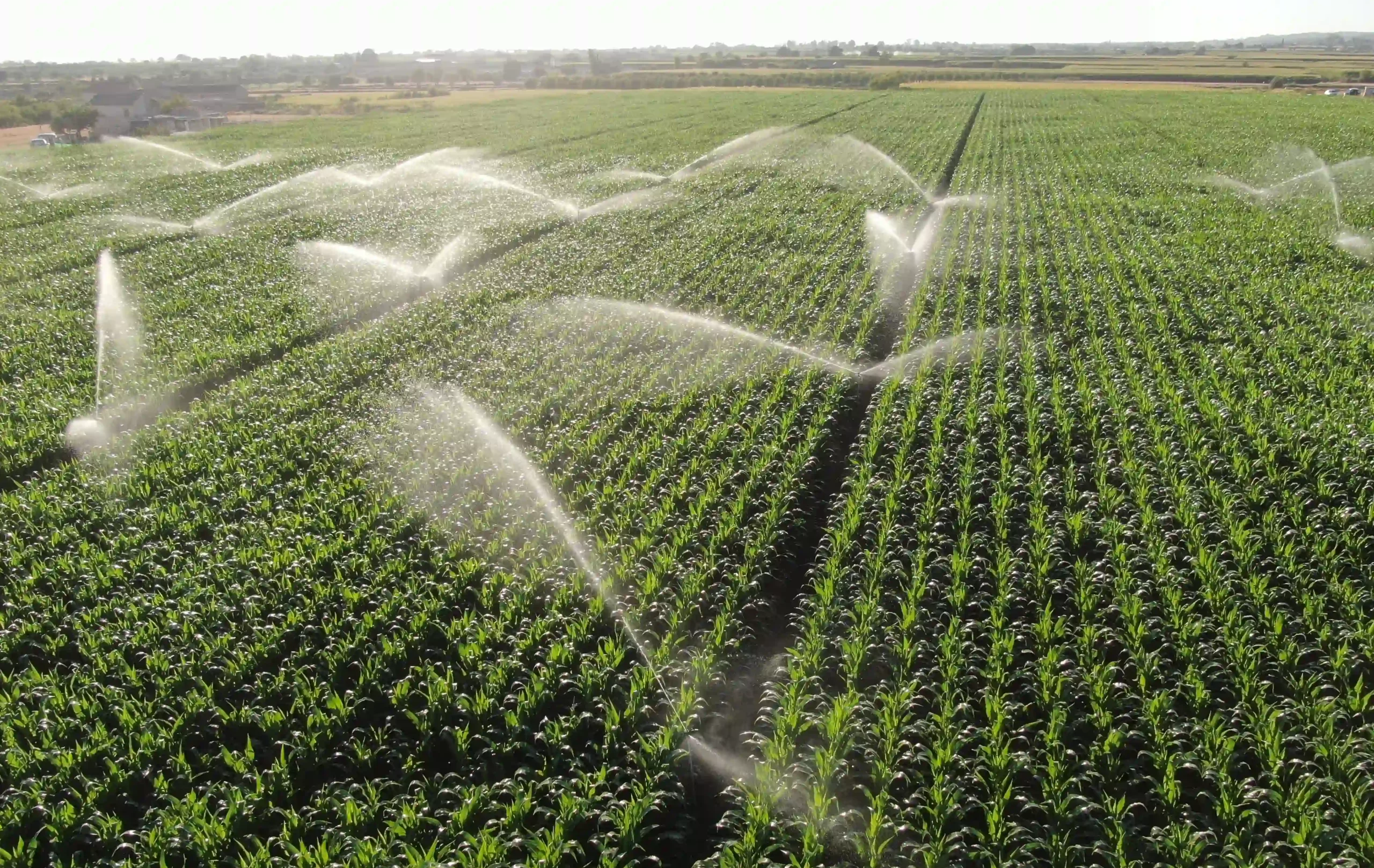Blog-AgriQ_Tipos-de-irrigacao_Creditos-Shutterstock-scaled